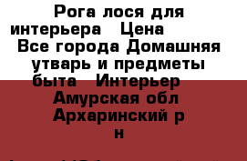 Рога лося для интерьера › Цена ­ 3 300 - Все города Домашняя утварь и предметы быта » Интерьер   . Амурская обл.,Архаринский р-н